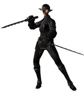 A Elvaan Ninja in Final Fantasy XI.