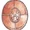 Leather Shield