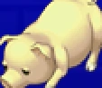 Pig portrait for Edward, Biggs, and Wedge in Final Fantasy IV: The After Years (PSP).