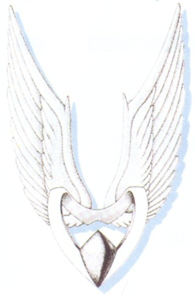 Angel Wings (equipment), Final Fantasy Wiki