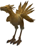 Chocobo (Final Fantasy XII) | Final Fantasy Wiki | Fandom