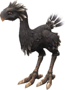 FFXI Black Chocobo.png (130 KB) Final Fantasy XI.
