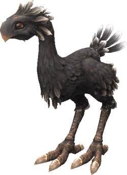 Final Fantasy XI.