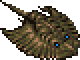 Sandray.png (499 байт) Песчаный скат (Sand Ray)