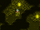 FFVI PC Dream Mines.png