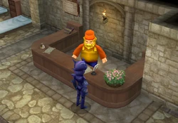 Inn (DS/iOS).