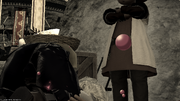Kokonowa merchant from FFXIV