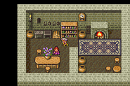 Rosa's House (GBA).