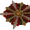 Assault Targe