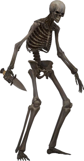Skeleton Soldier