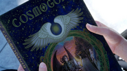 Angel wings on the cover of Cosmogony.