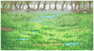 FFI Background Swamp