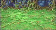 Tropical Island battle background in Final Fantasy II (GBA).