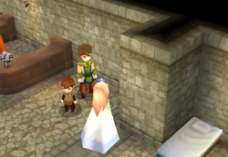 Items shop (DS/iOS).