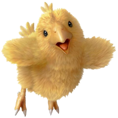 chocobo ff13