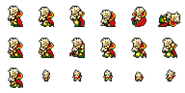 Set of Strago's sprites.