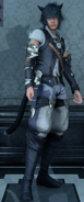 Glamour Prism Miqote attire for Noctis from FFXV