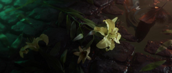 Withered-Flowers-FFVII-Remake.png