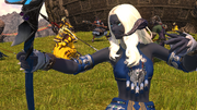 FFXIV Sadu