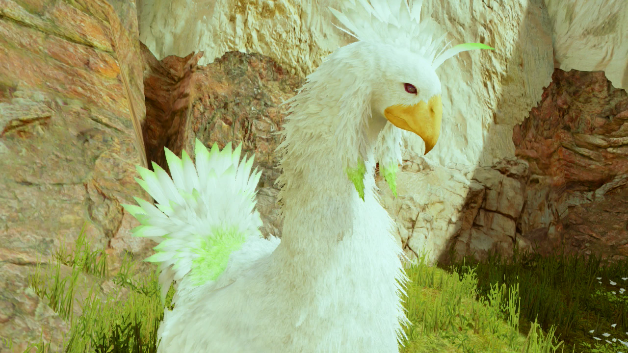 chocobo ff13