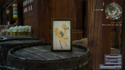 Chocobo-Drawing-FFXV