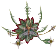 Rafflesia (Heretic/Lunatic) (ラフレシア, Rafureshia?)