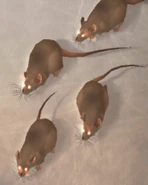 Bestiary entry (PlayStation 2).