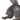 Quadricorn X2 portrait