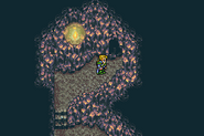 Inside the cave (GBA).