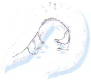 FFVI Snow Scarf Artwork.jpg (12 KB) Snow Scarf artwork.