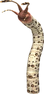 Worm 4 (FFXI).png (64 KB) Entozoon.