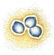 Lamia Scale FFIII Art.png (108 KB) Lamia Scale