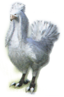 White Chocobo