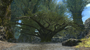 FFXIV Guardian Tree