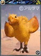 Chocobo card.