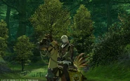 Chocobo Mount XIV.jpg (787 KB) A female Hyur character riding a Gridanian chocobo (Legacy).