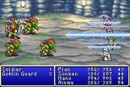 Barrier cast on the party in Final Fantasy (GBA).