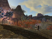 FFXIV Archer Punch.jpg (422 KB) Archer auto attack in Final Fantasy XIV (version 1.0).