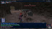 FFXI Battle