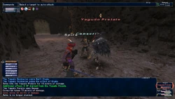 A Real Time Battle in Final Fantasy XI between a party of two players and one foe.