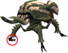 The defective model, with glitched foot circled.