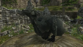 Seto from Final Fantasy XIV