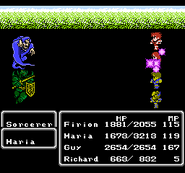 Final Fantasy II (NES).