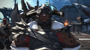FFXIV Curious Gorge 001