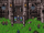 Siege of Doma