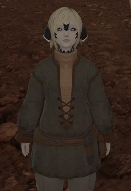 FFXIV ShB Halric
