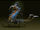 Fortress - Insect monster.jpg