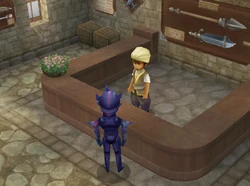 Weapon Shop (DS/iOS).