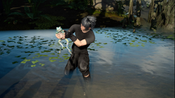 Noctis catches a rainbow frog from FFXV