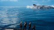 Whale-FFXV-RE.jpg (1,008 KB)